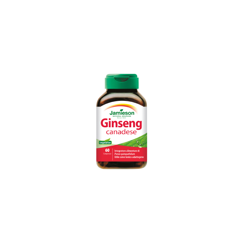 Ginseng Canadese